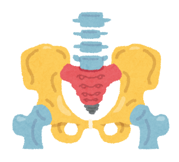 下半身デブは骨盤矯正がカギ！股関節ストレッチすれば痩せる？